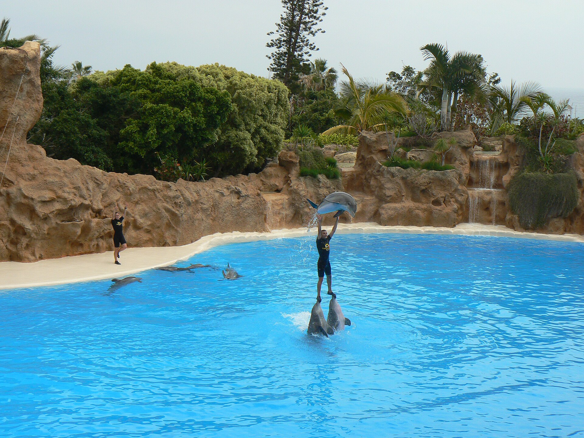 Loro Parque
