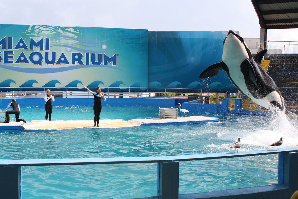 Miami Seaquarium
