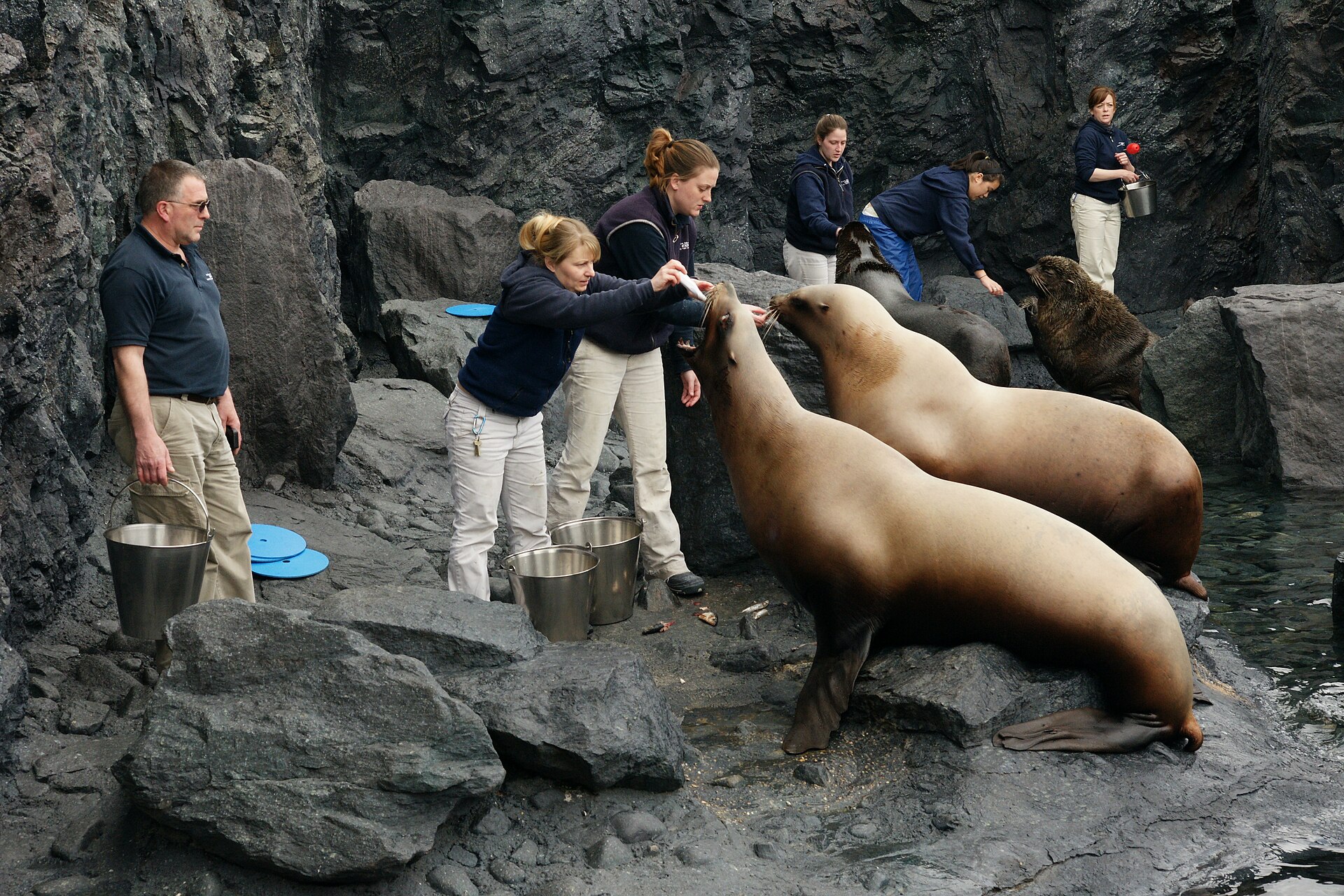 Mystic Aquarium
