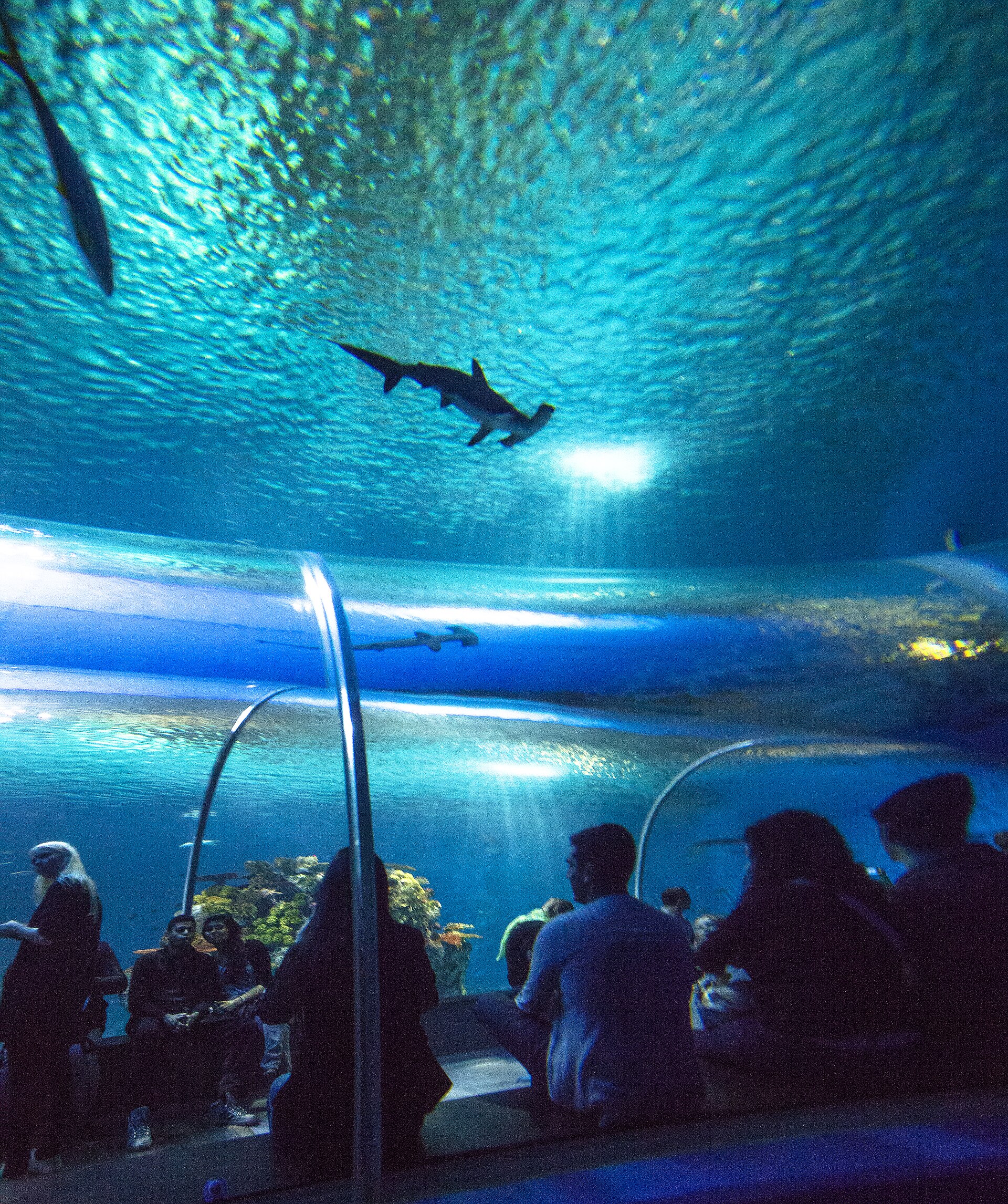 National Aquarium Denmark (Blue Planet)