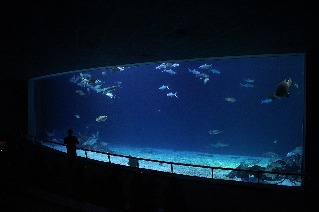 The Open Ocean tank of the Waters of Taiwan pavilion at the National Museum of Marine Biology and Aquarium