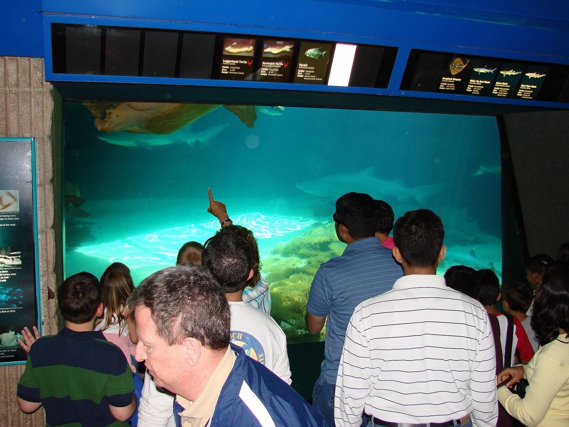 New York Aquarium
