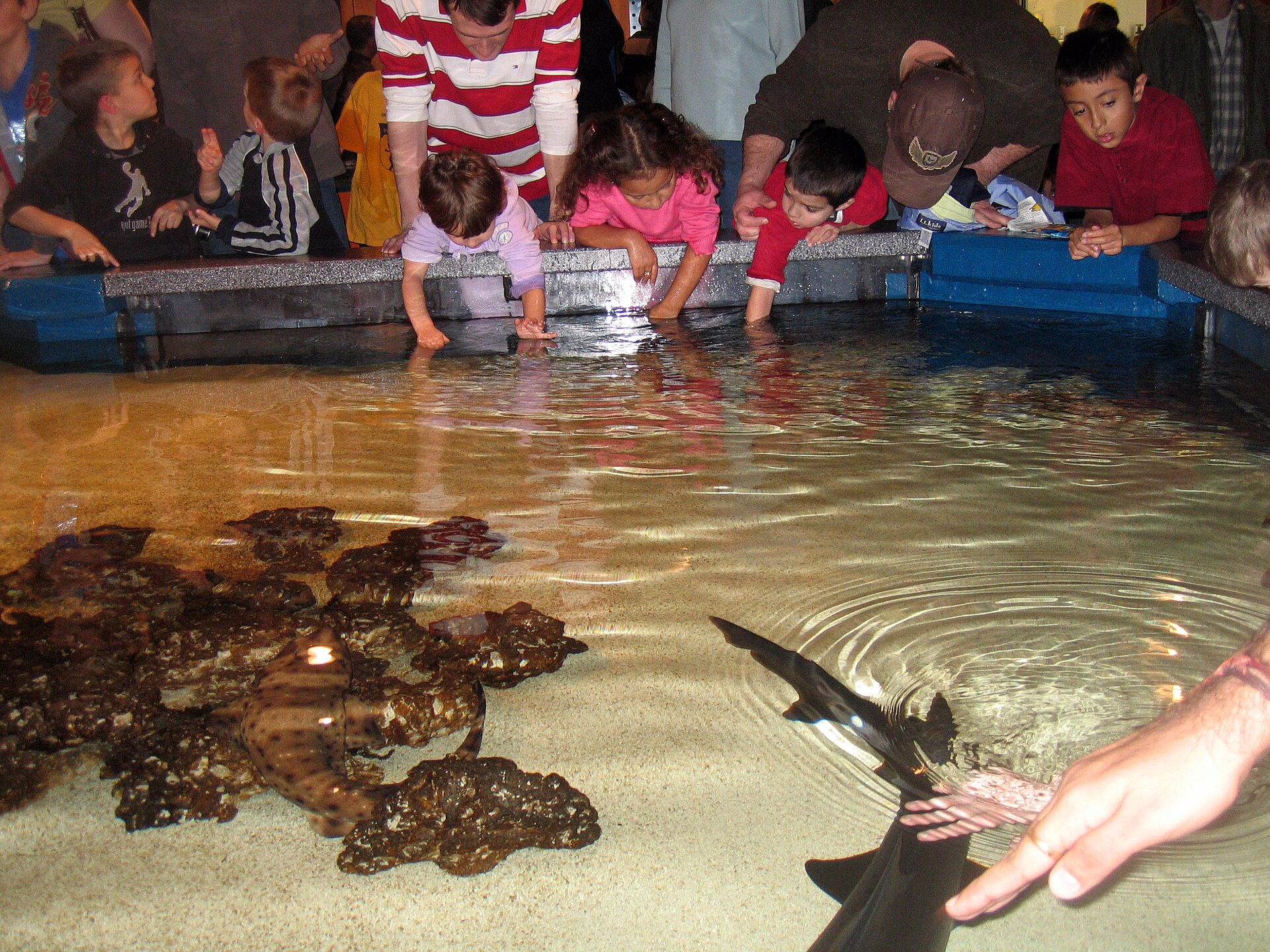 Newport Aquarium