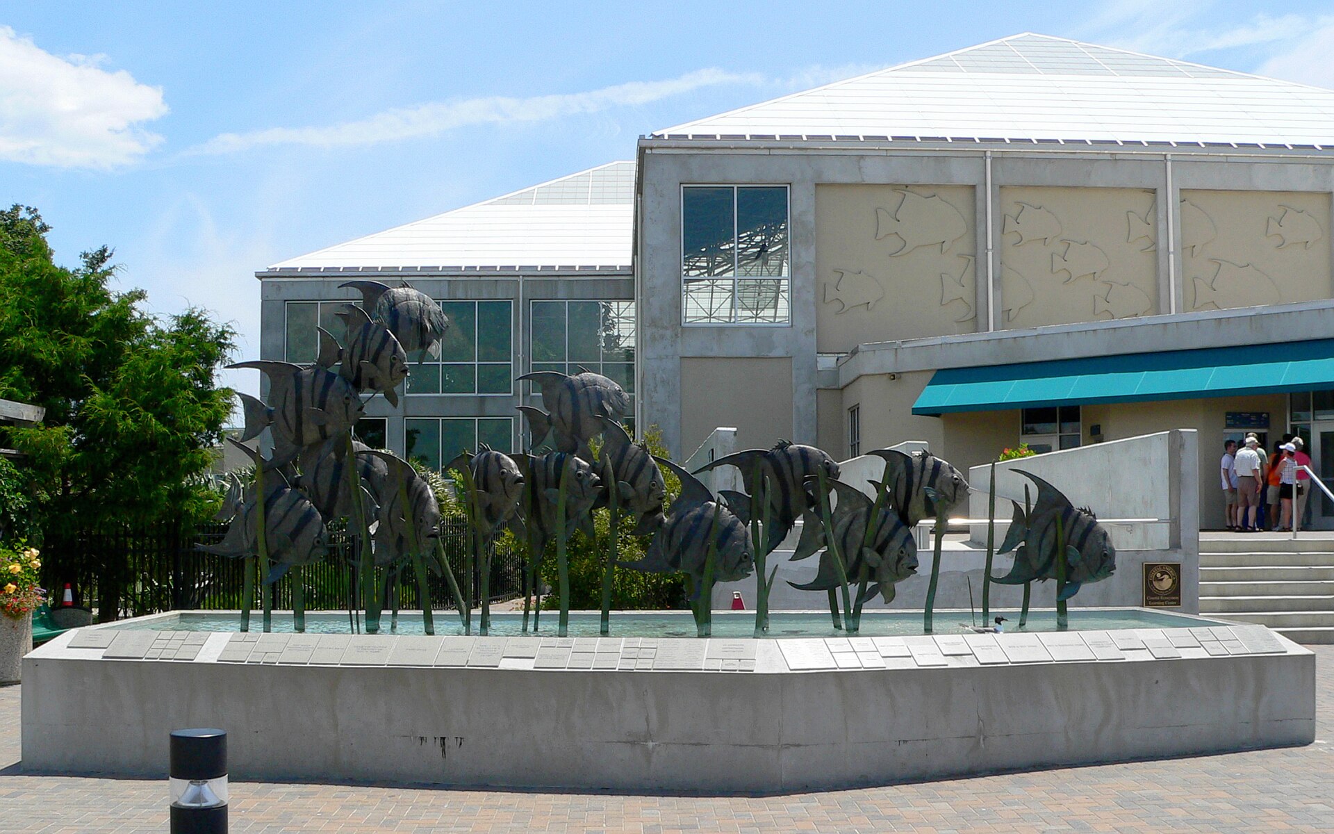 North Carolina Aquariums