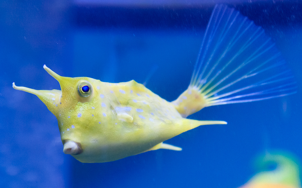Oregon Coast Aquarium