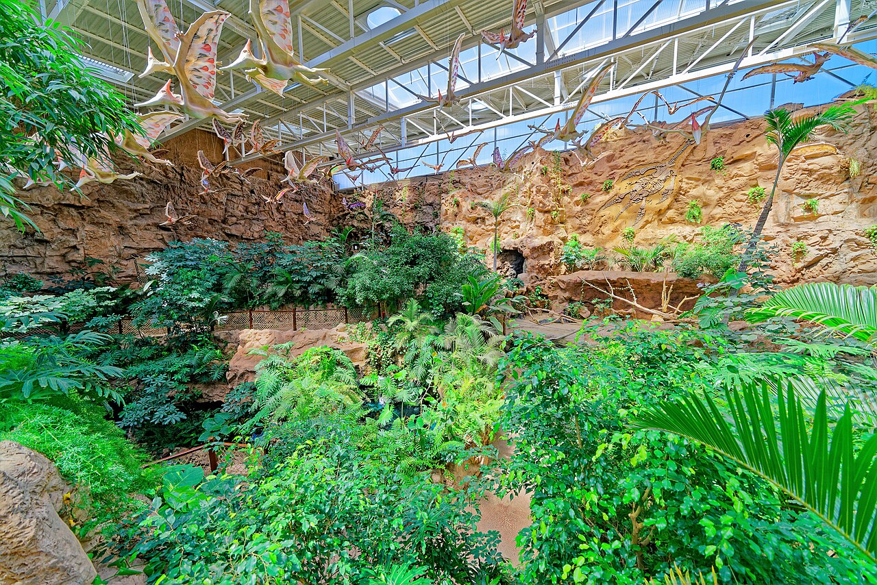 Lush planted jungle landscape inside the La Jungla zone at Poema del Mar