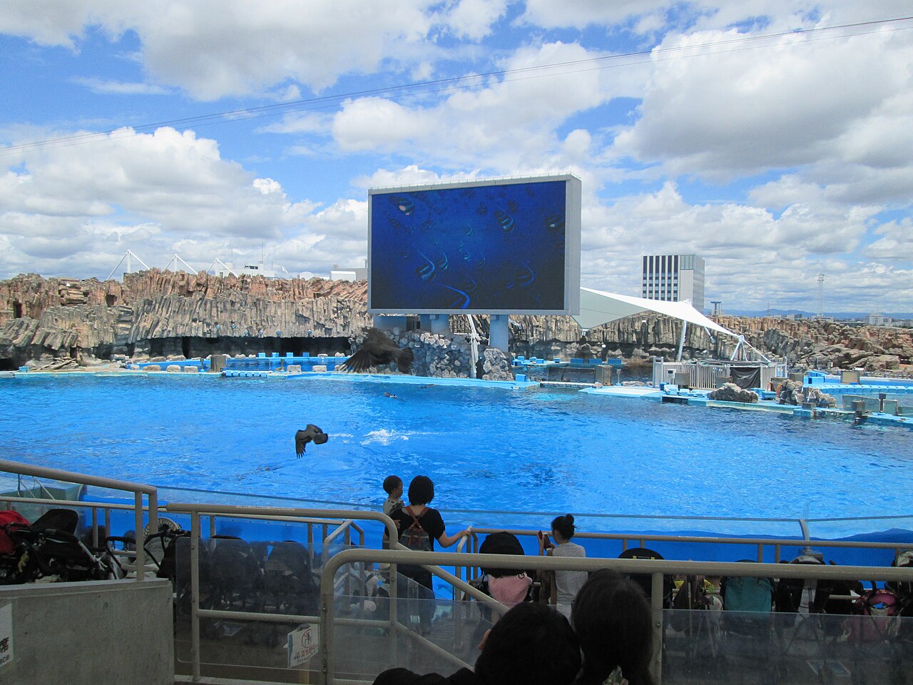 The outdoor main show pool and giant video screen at the Port of Nagoya Public Aquarium
