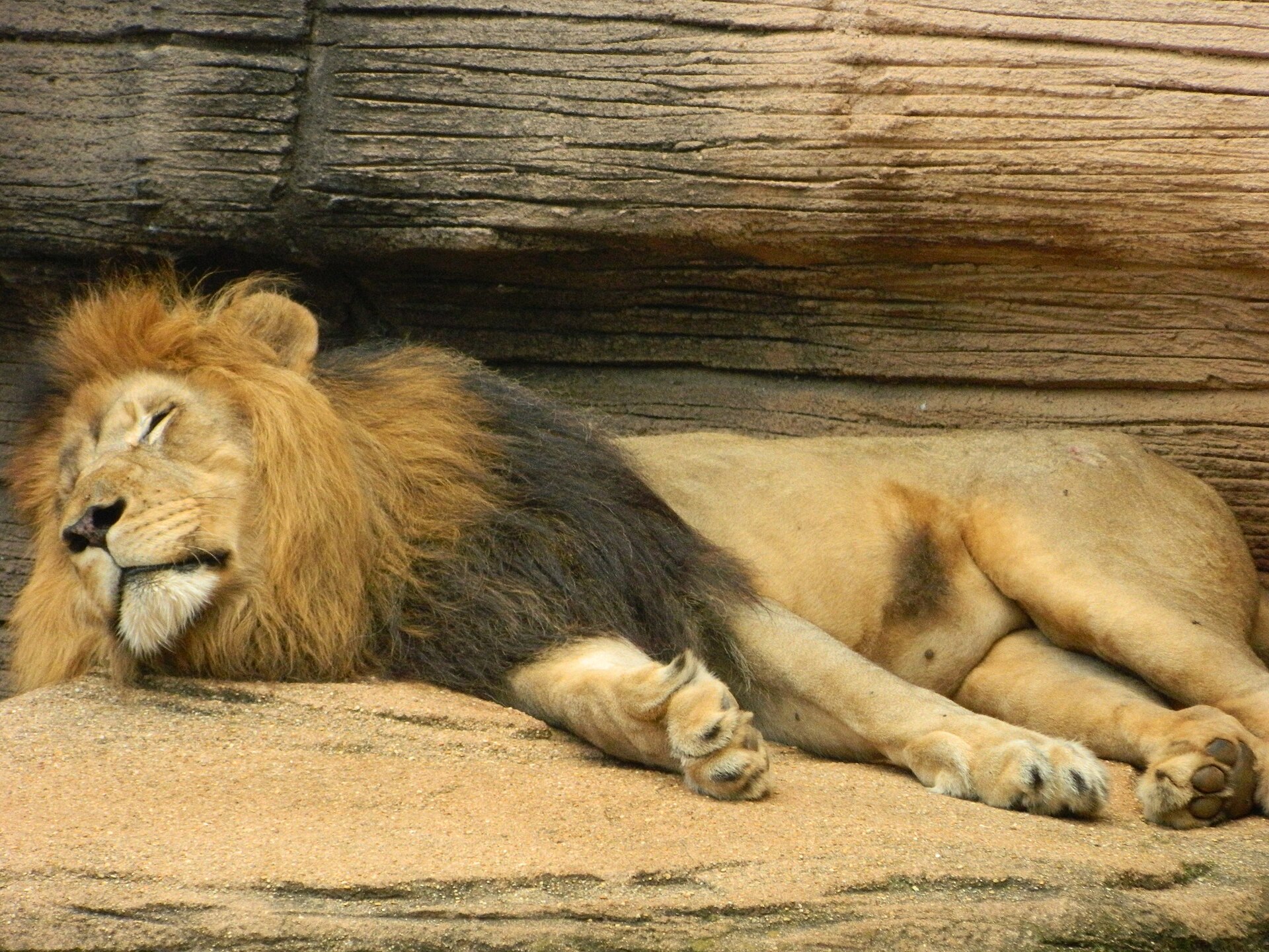 Riverbanks Zoo