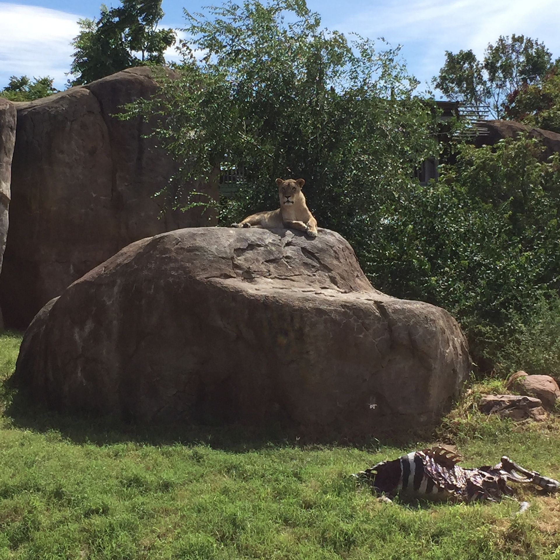 Sedgwick County Zoo