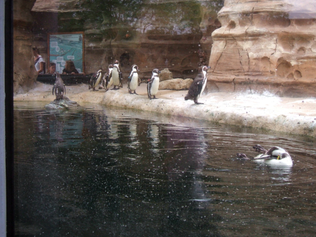 Sedgwick County Zoo