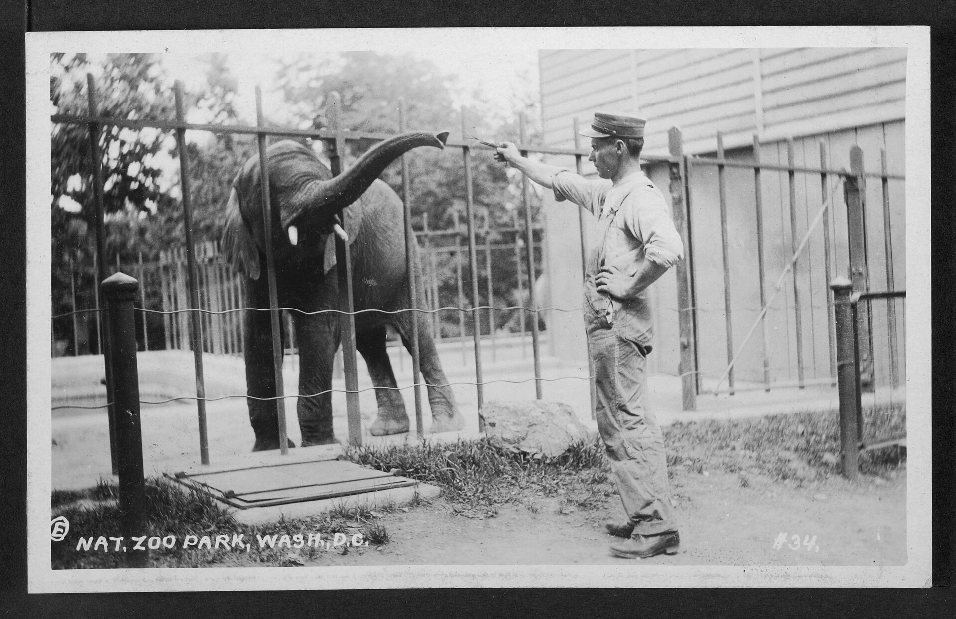 Smithsonian's National Zoo