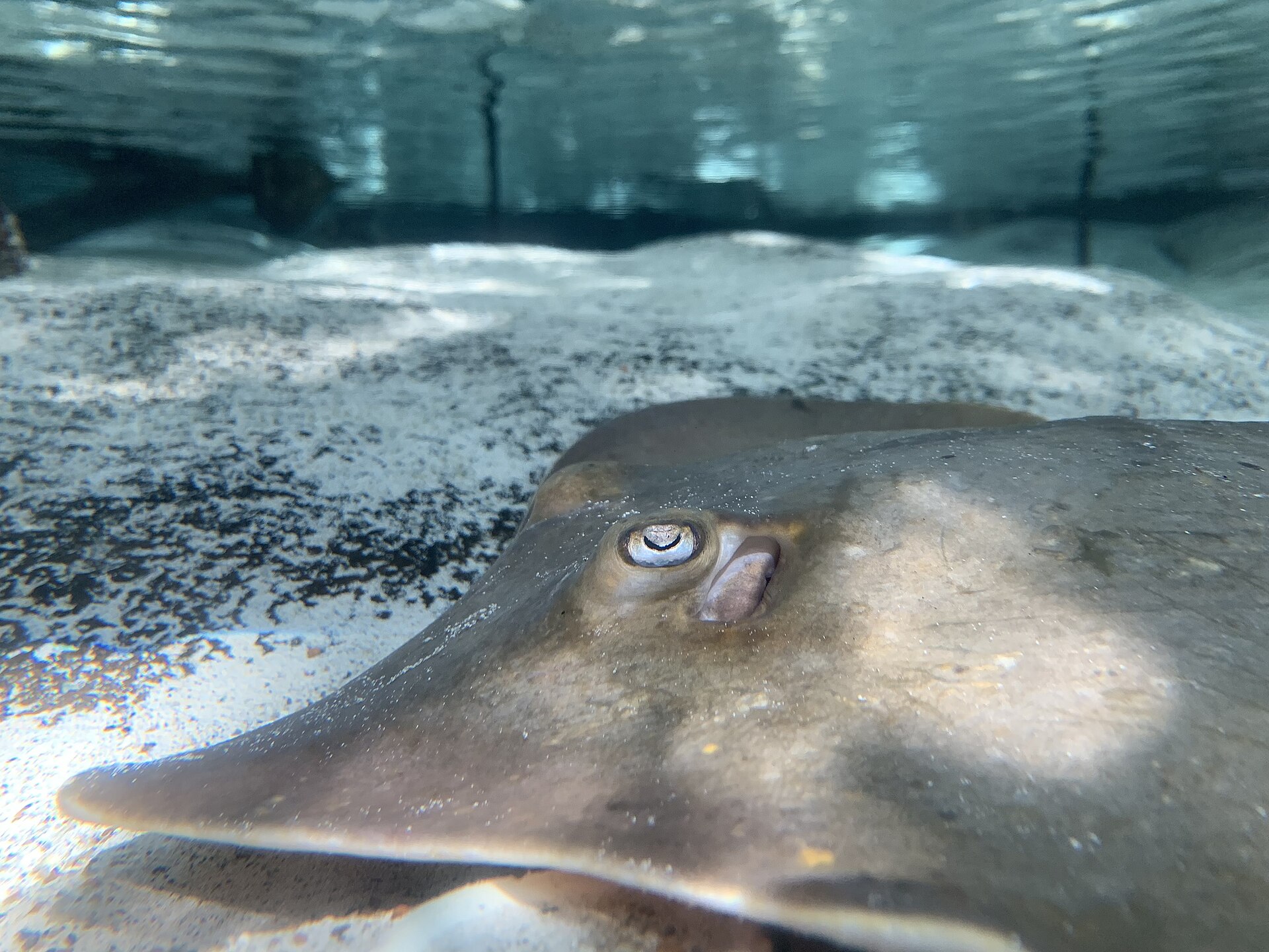The Florida Aquarium