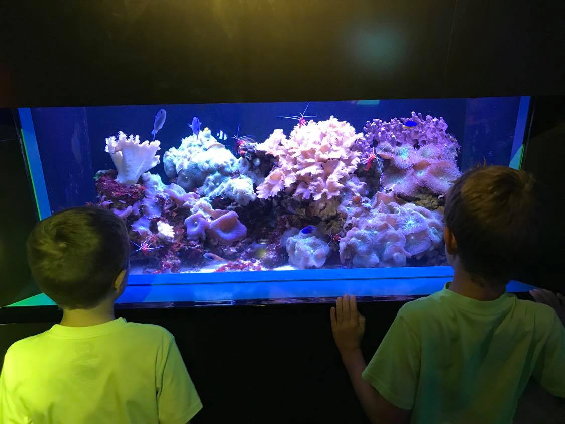 The Florida Aquarium