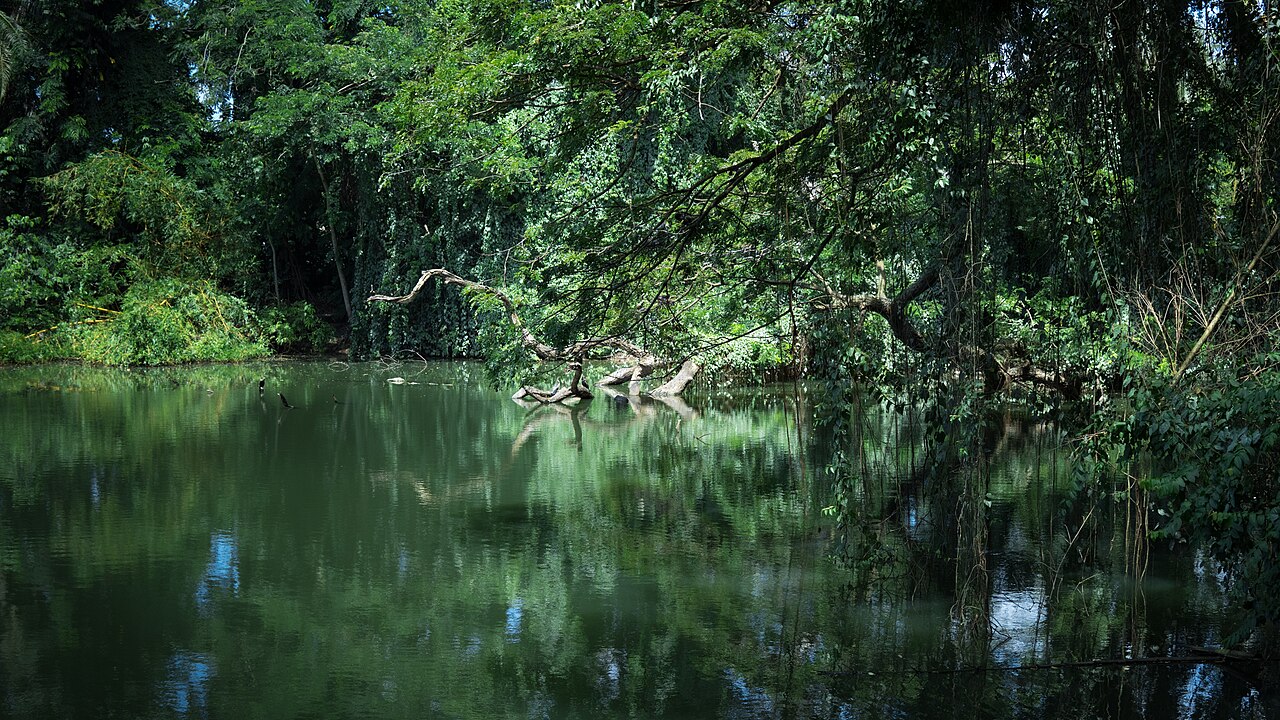 Lake and gardens inside Thiruvananthapuram Zoo
