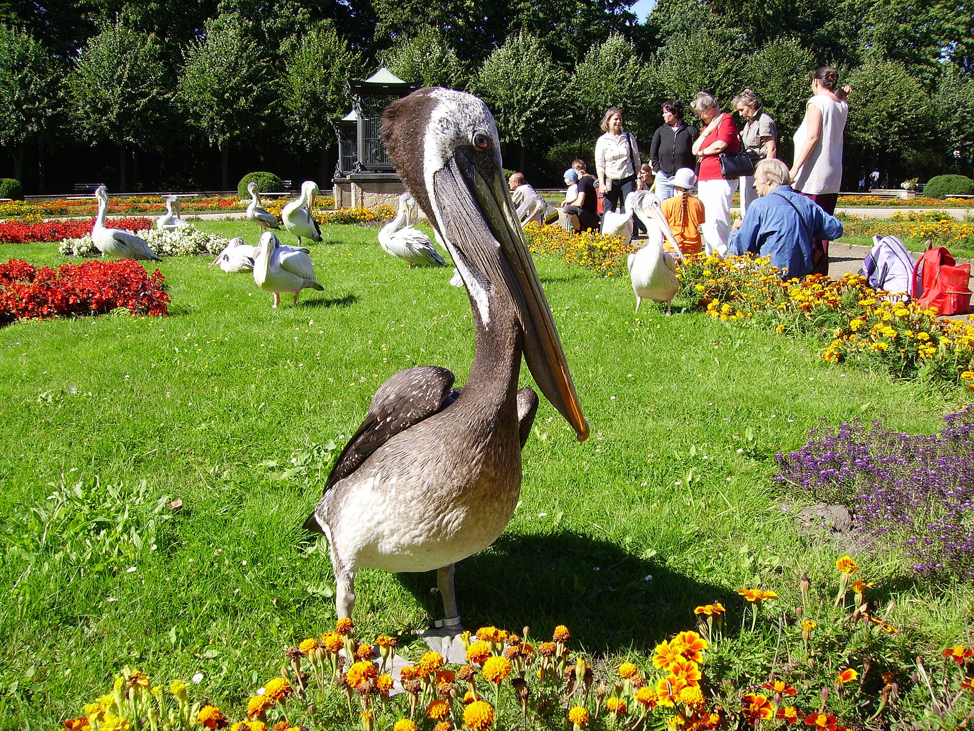 Tierpark Berlin