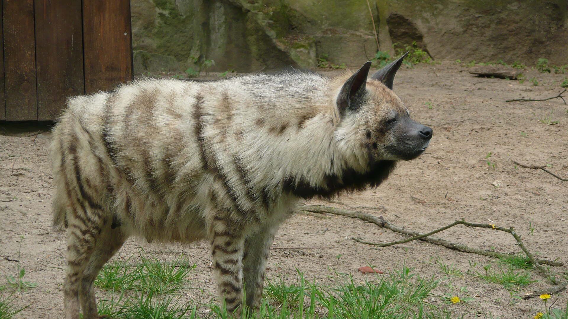 Tierpark Berlin