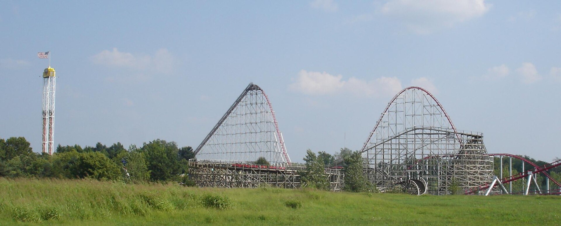 Timber Wolf