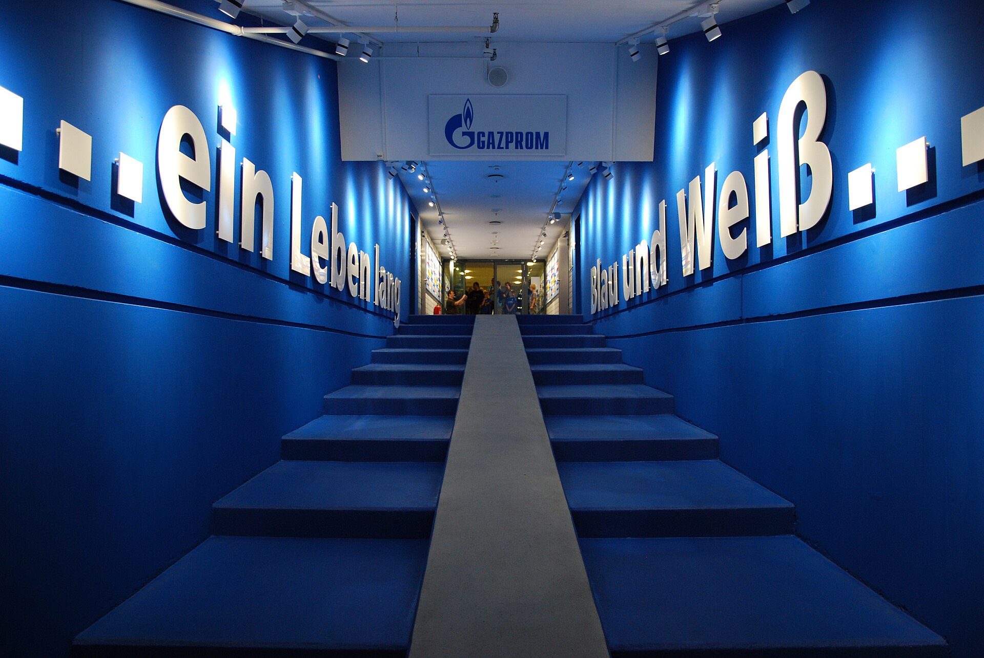 Veltins-Arena