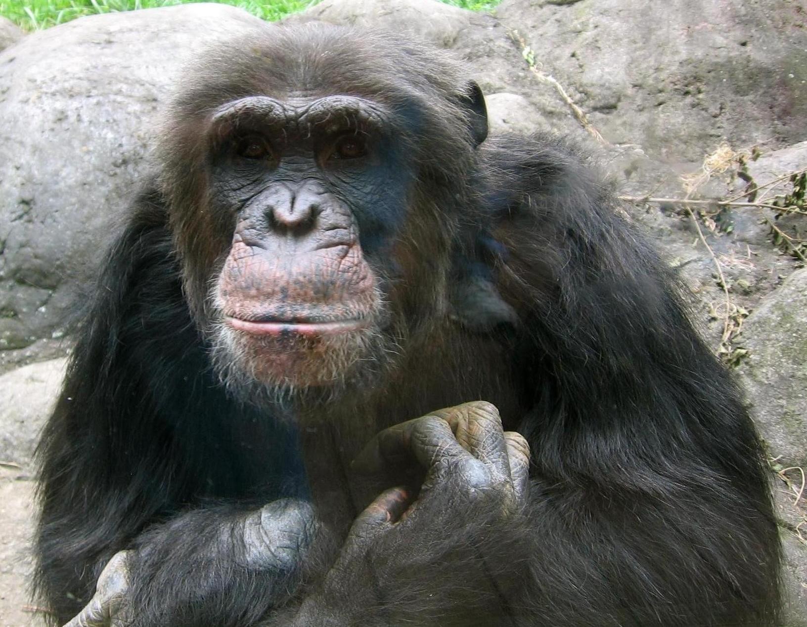Zoo Knoxville