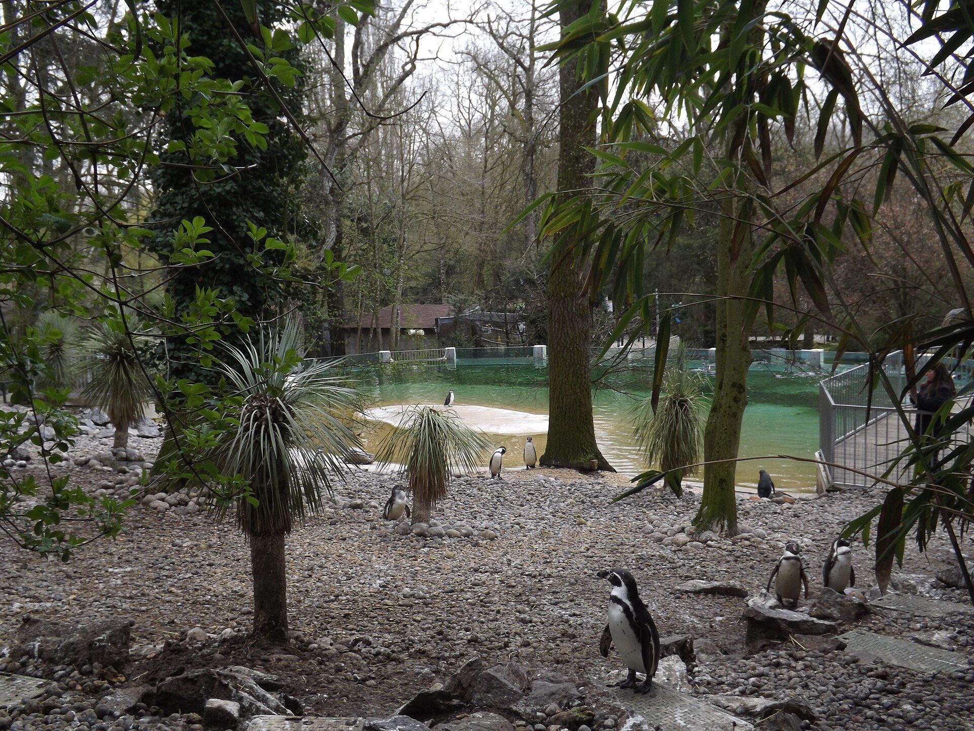 ZooParc de Beauval