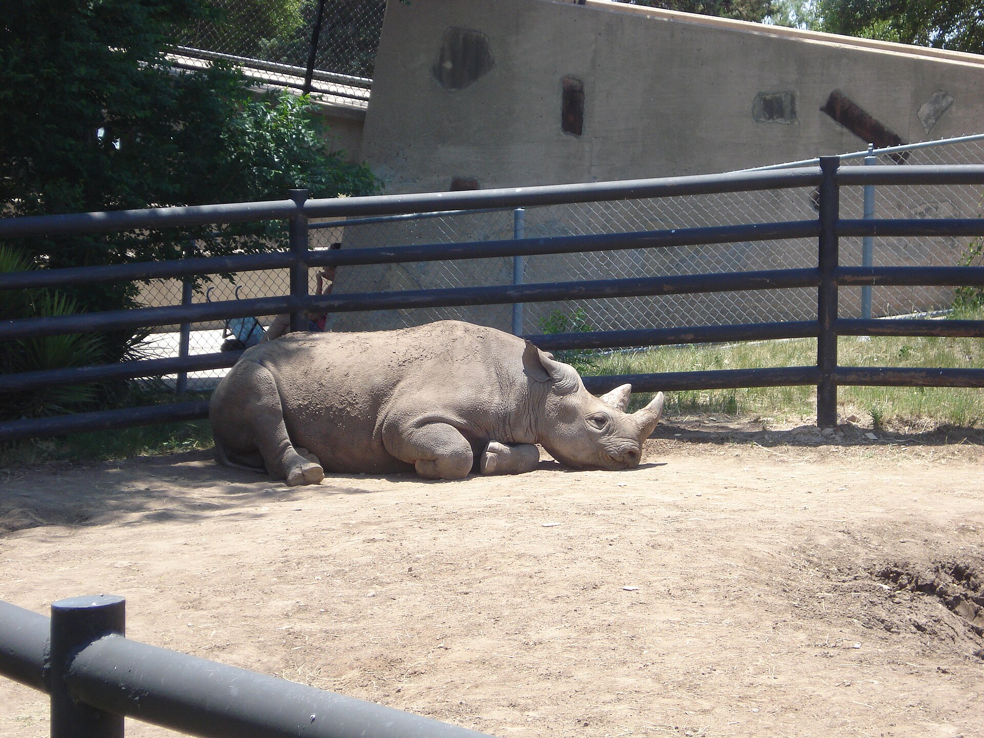 Abilene Zoo