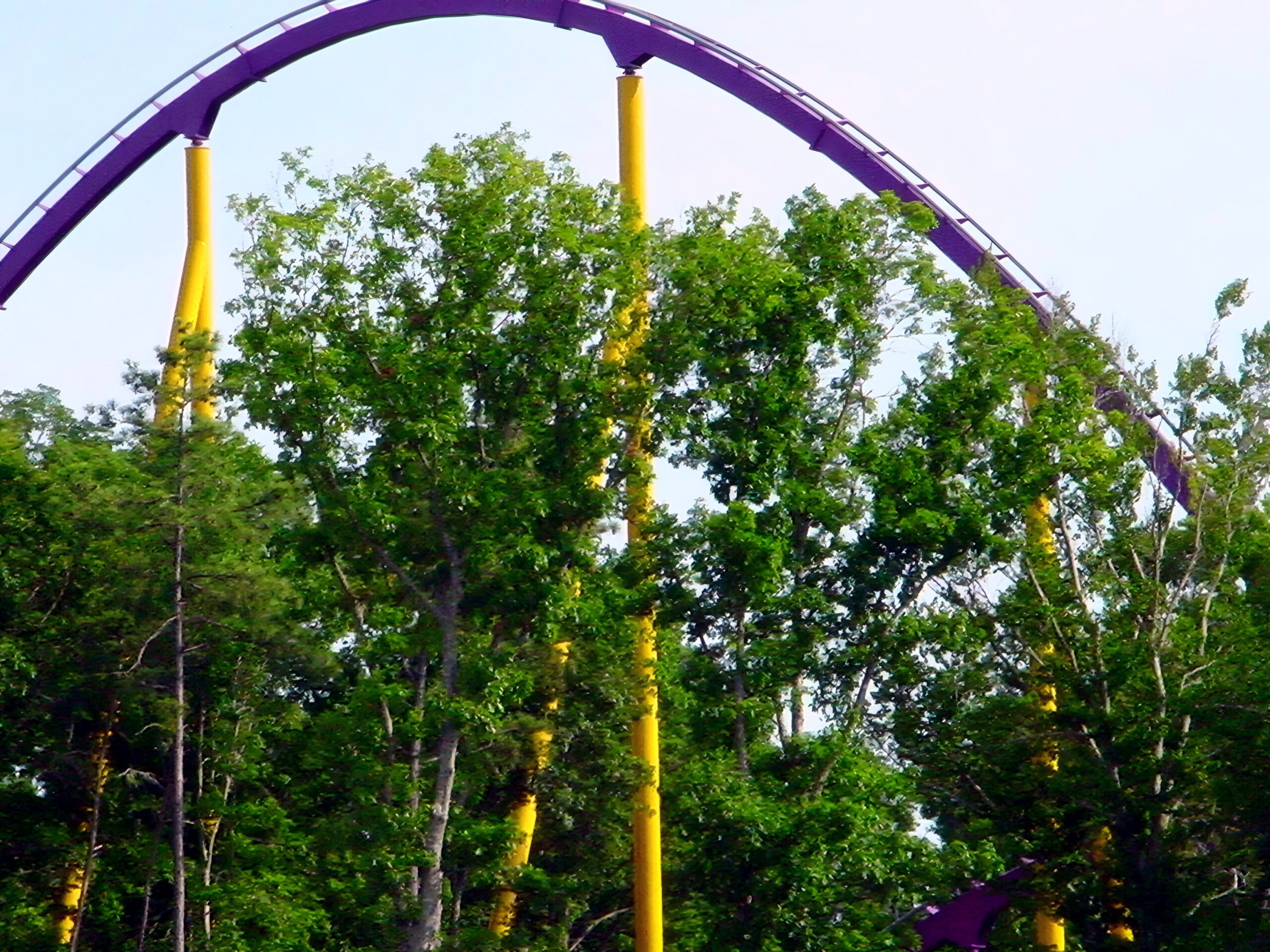 A camelback hill on Apollo's Chariot framed by trees, July 2001