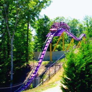 An Apollo's Chariot train cresting a hill above the trees at Busch Gardens Williamsburg