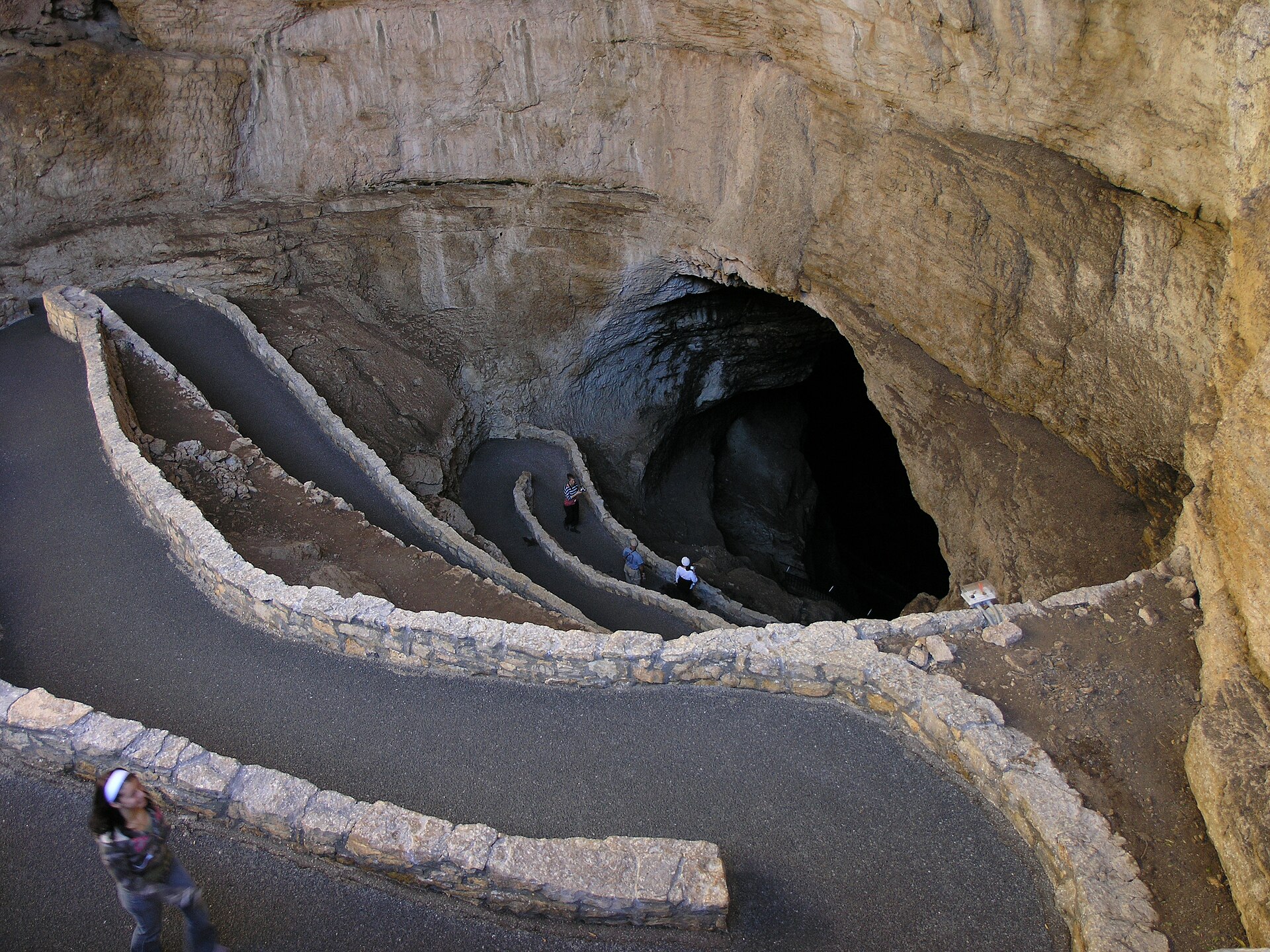 Bat Flight Amphitheater
