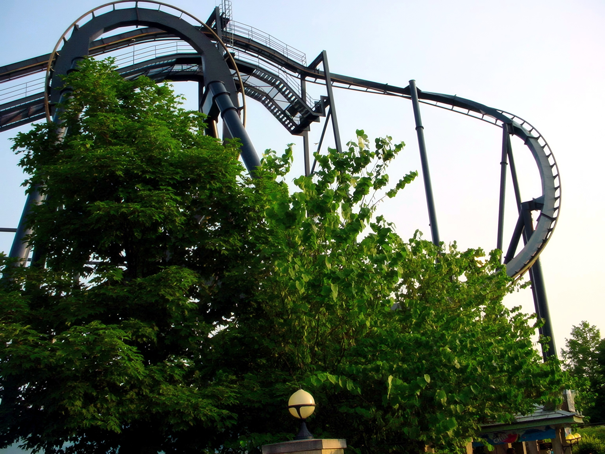 Batman: The Ride's loop and lift hill above the trees at Six Flags St. Louis, June 2002