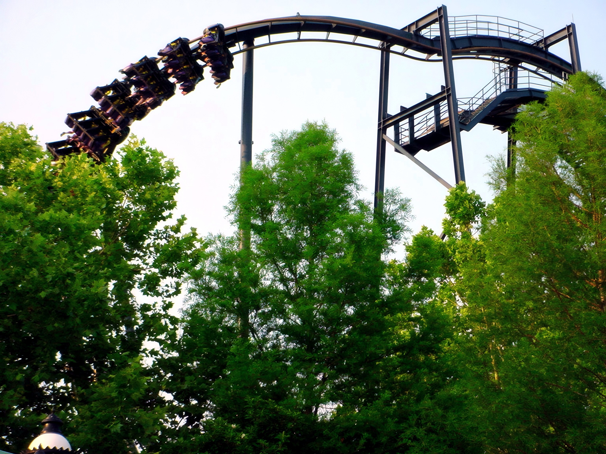 A Batman: The Ride train looping over the treeline at Six Flags St. Louis, June 2002