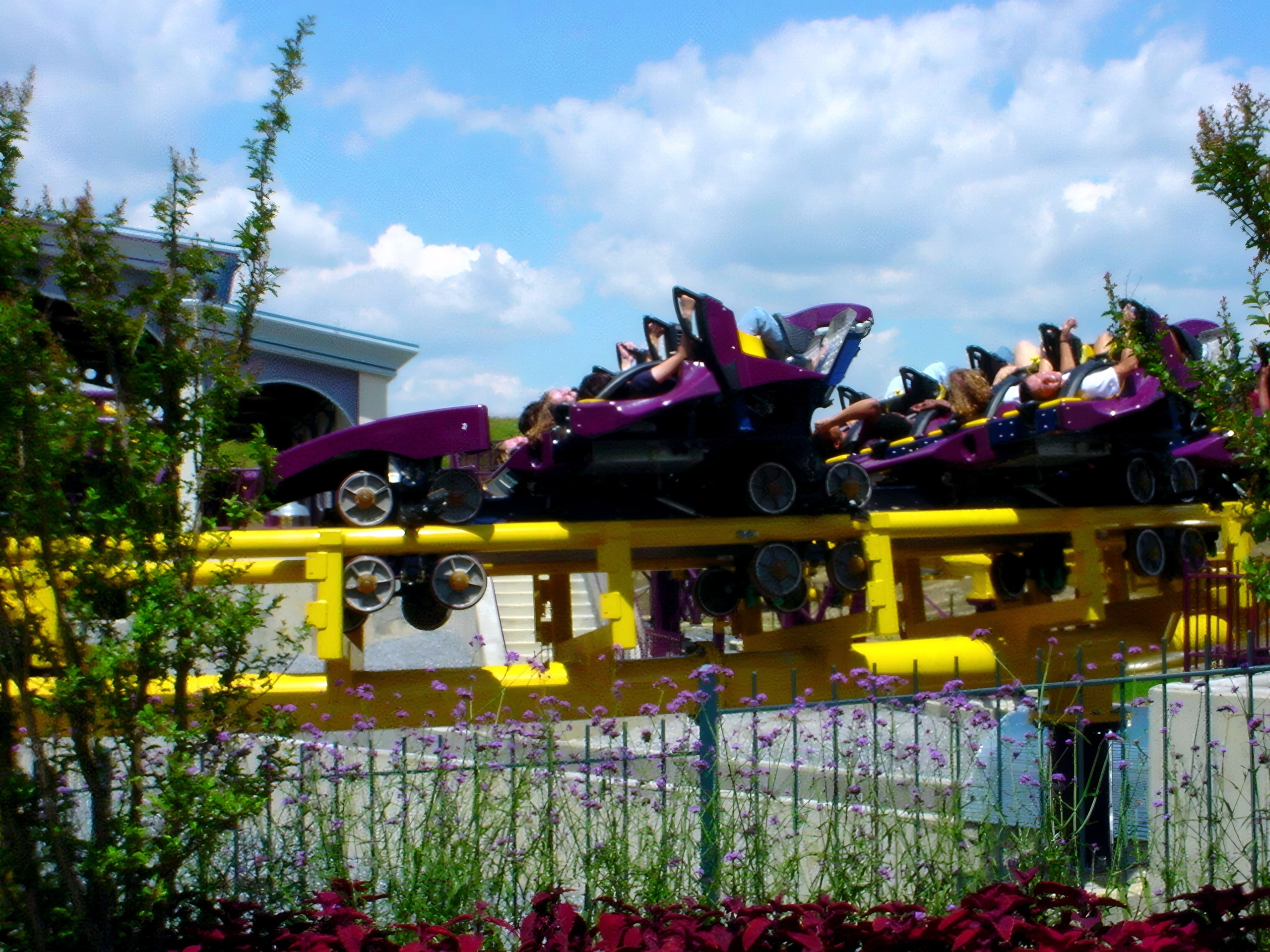 Riders lying back in a Batwing train on the track at Six Flags America, July 2001