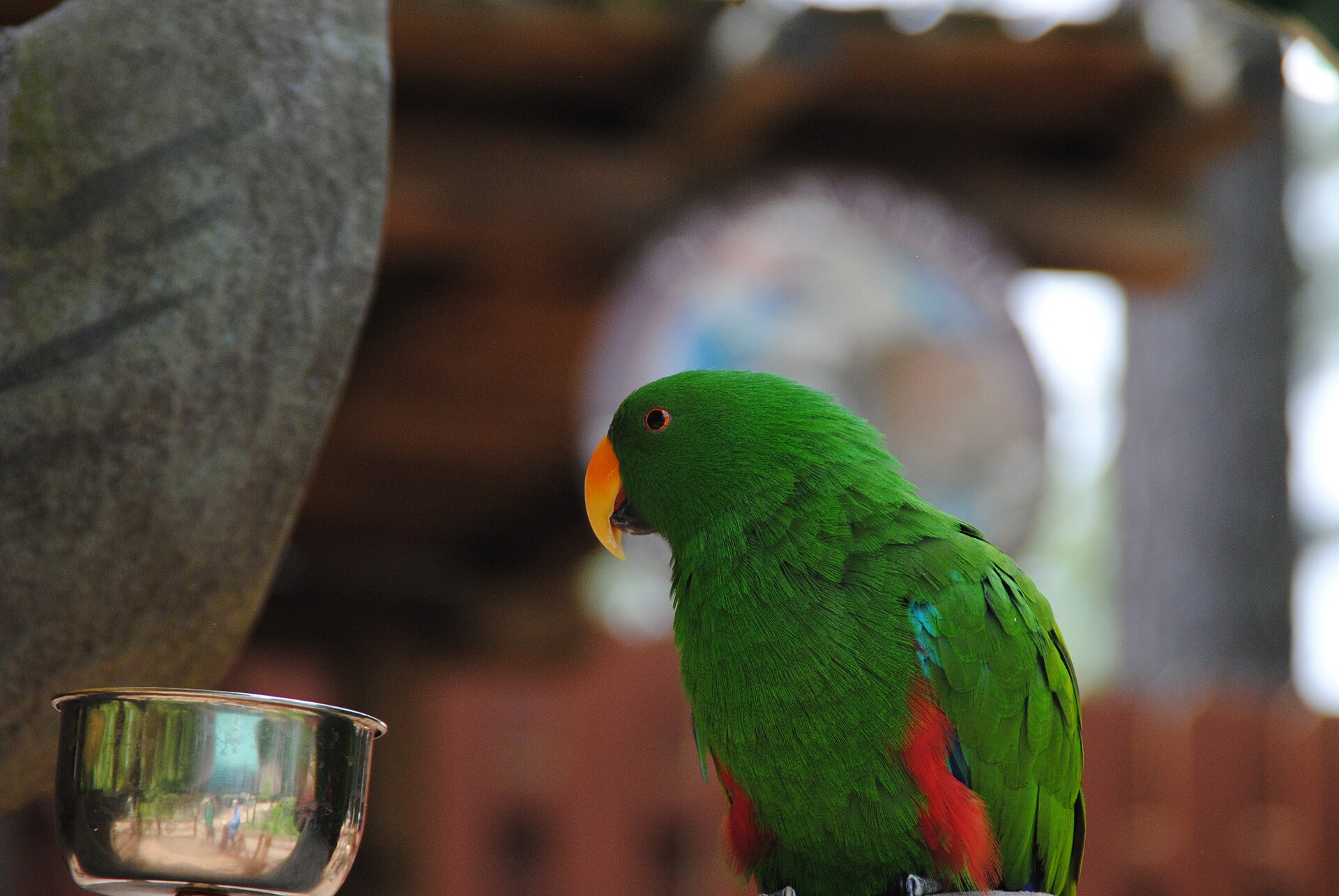 Best Rides for Little Kids at Busch Gardens Williamsburg