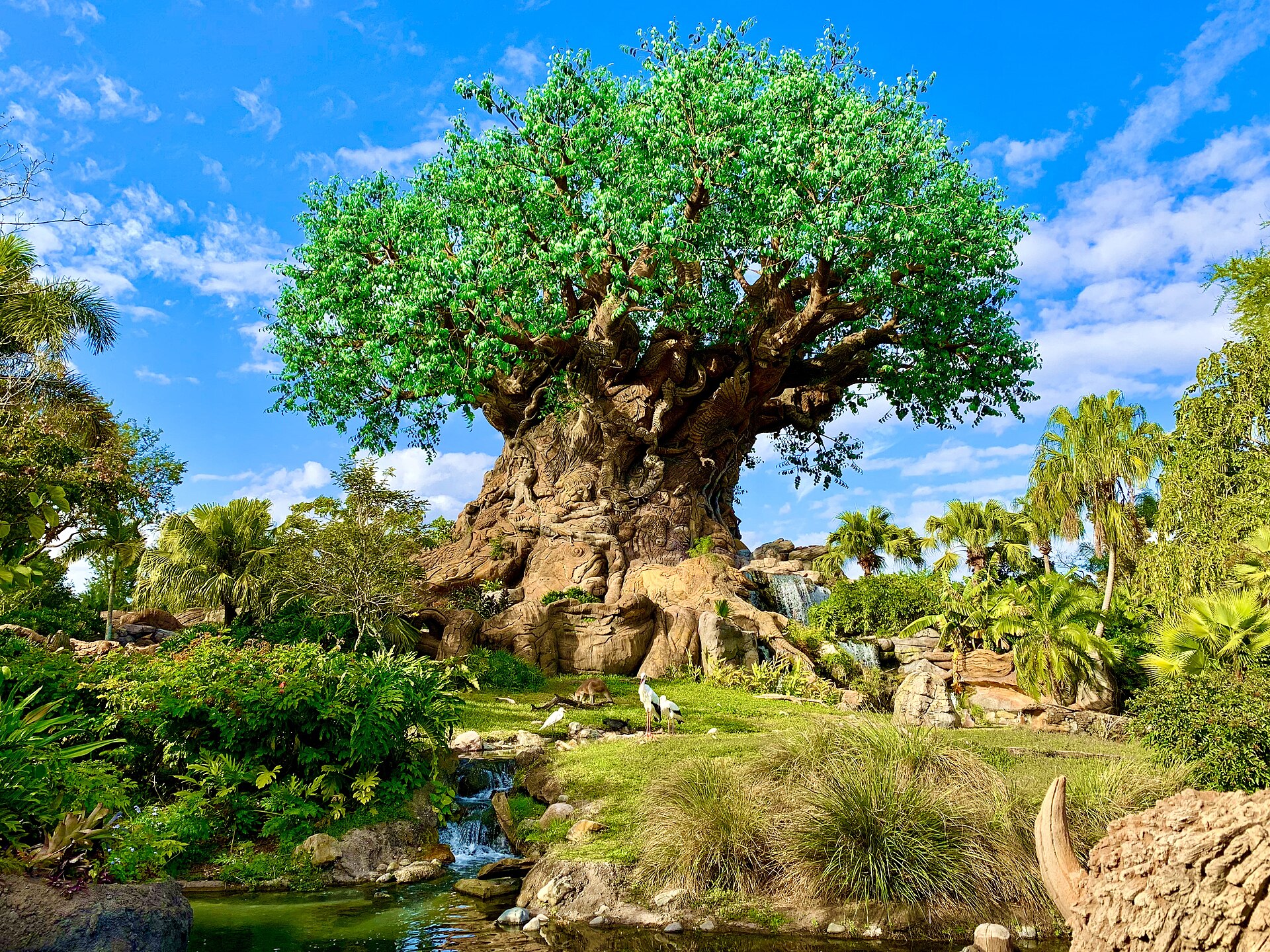 Best Rides for Little Kids at Disney's Animal Kingdom