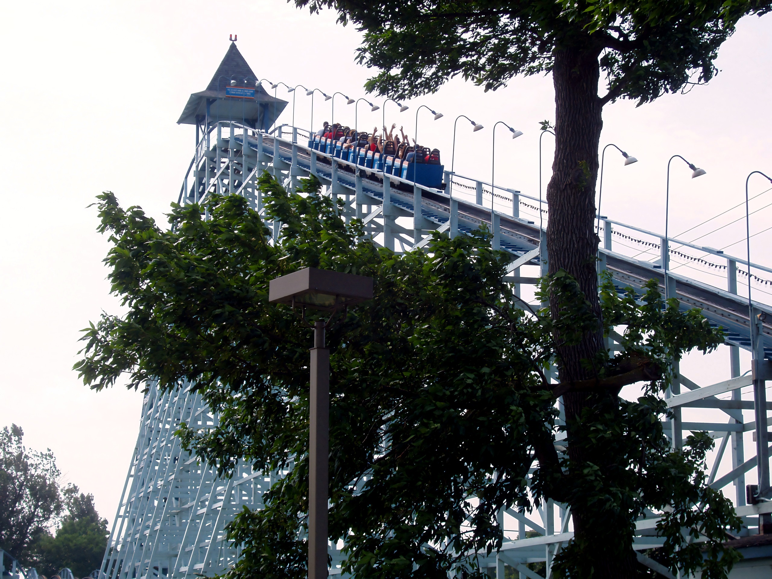 Gemini train cresting lift hill, riders raising arms, tree foreground, Blue Streak, July 2005