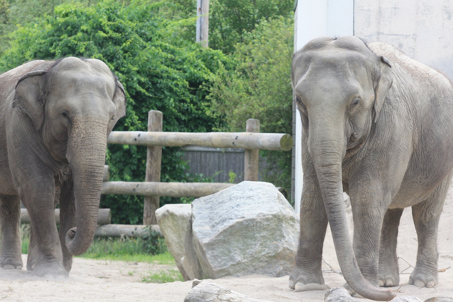 Buttonwood Park Zoo