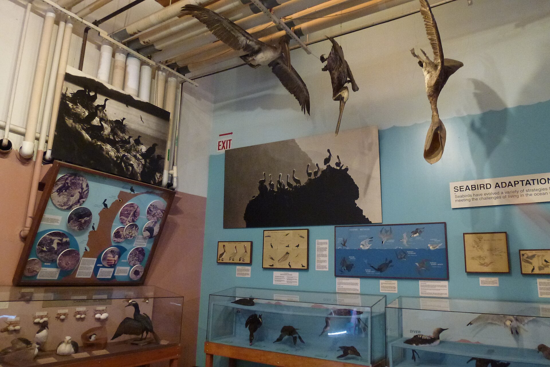 Cabrillo Marine Aquarium