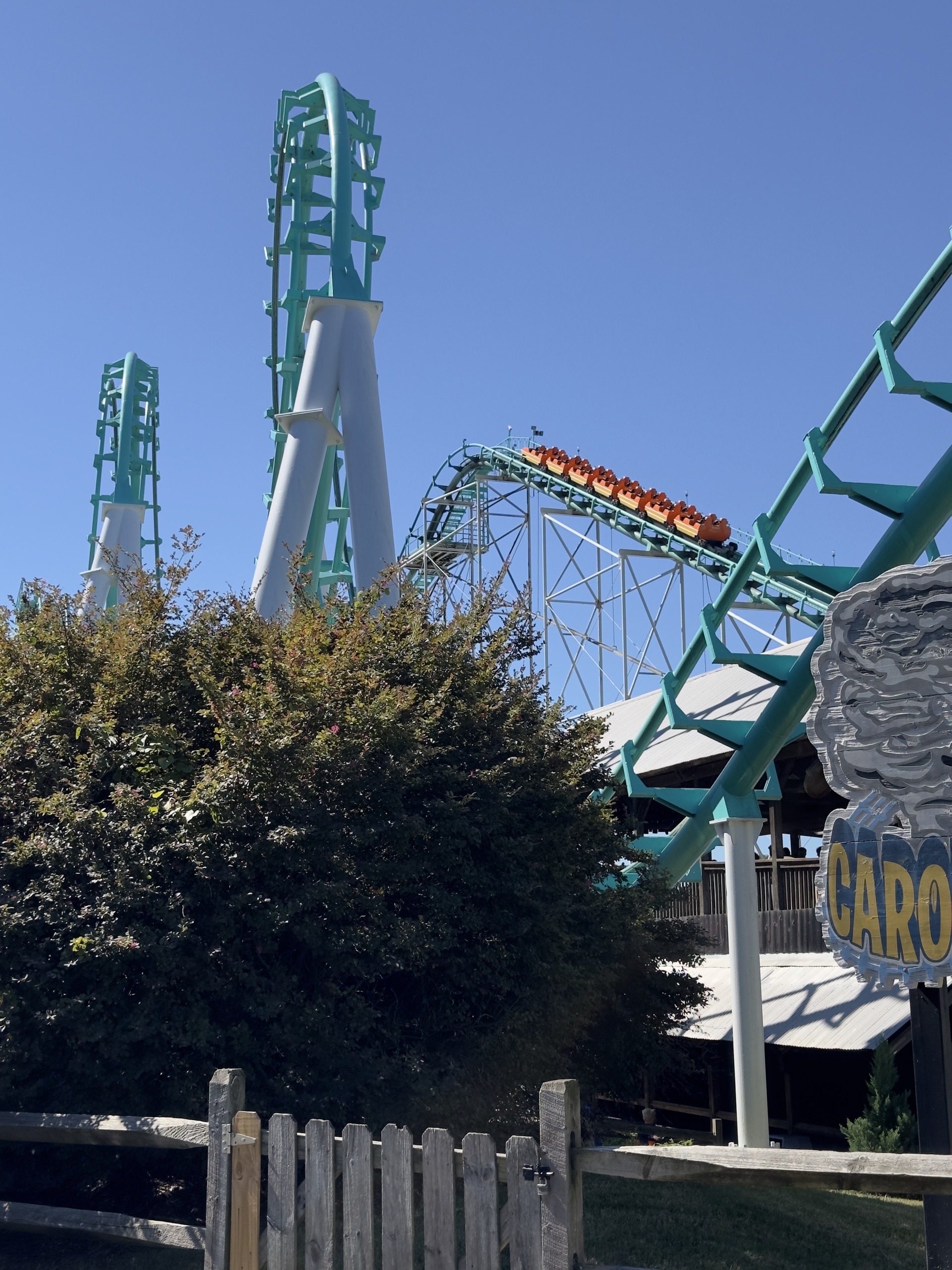 Carolina Cyclone's twin vertical loops and a train crossing the structure above the trees, Carowinds, October 2024
