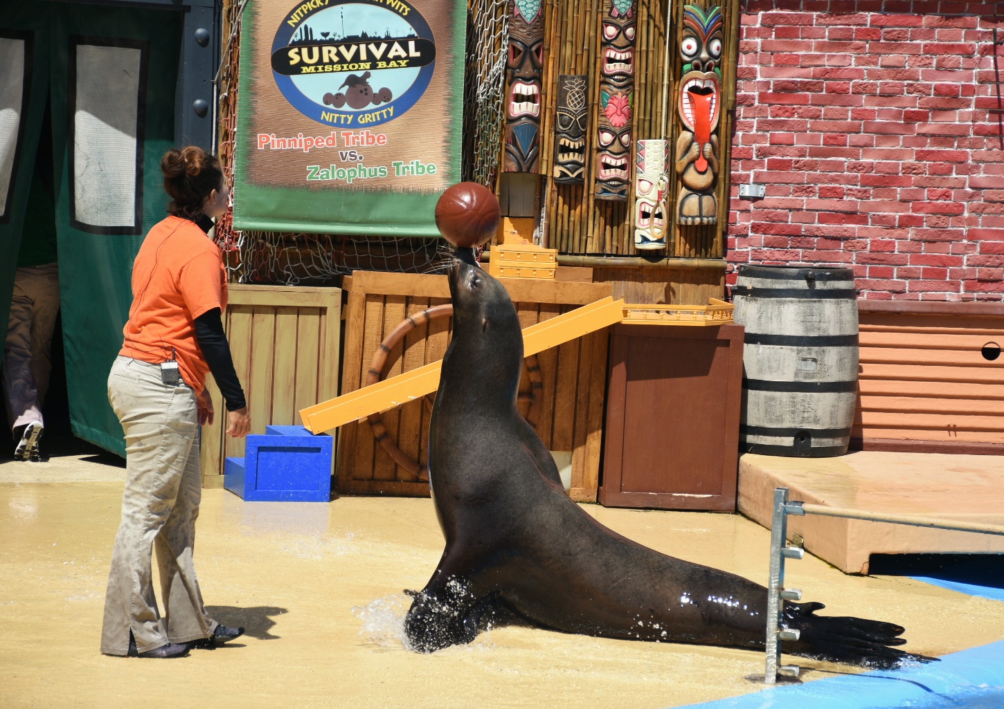 Christmas Celebration 2026 at SeaWorld San Diego