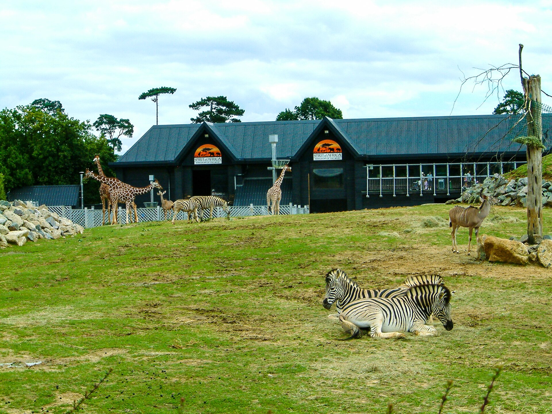 Colchester Zoo