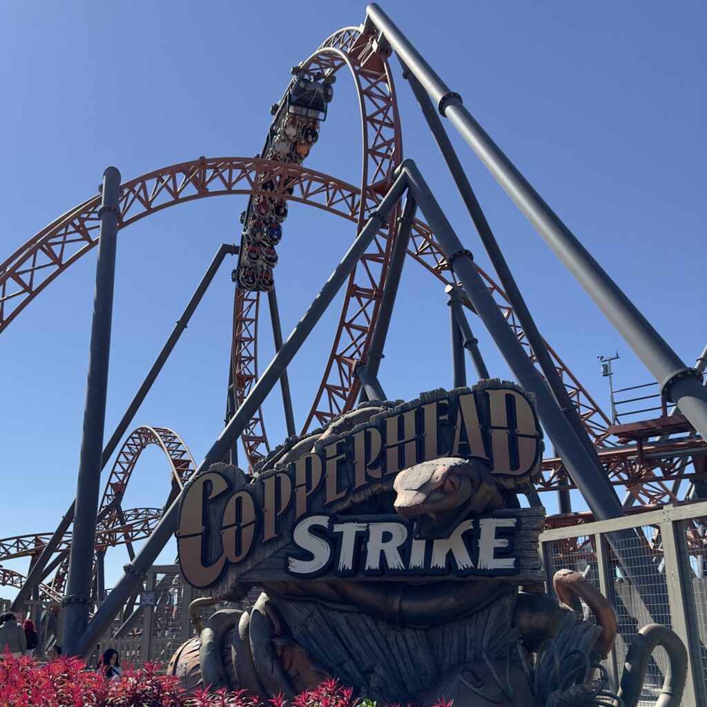 A Copperhead Strike train climbing the vertical loop above the snake sign, Carowinds, October 2024