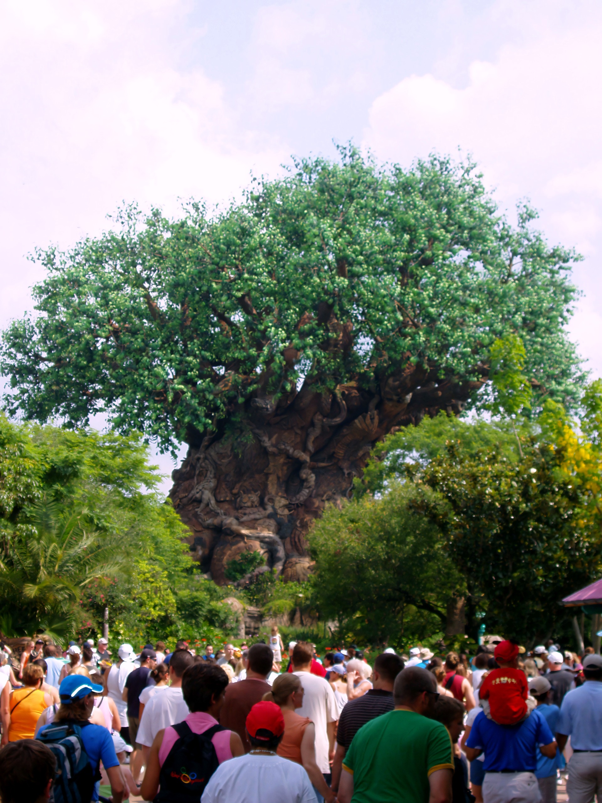 Crowd walking toward Tree of Life, Disney's Animal Kingdom, June 2006