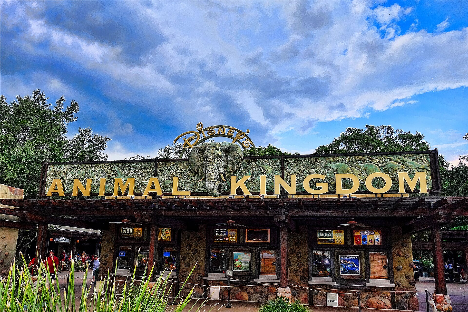 Disney's Animal Kingdom Height Requirements
