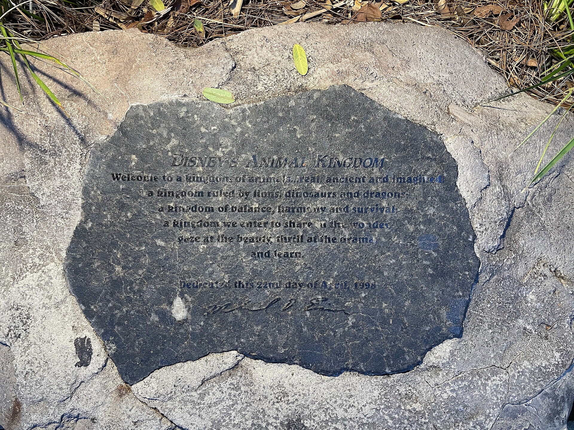 Disney's Animal Kingdom Height Requirements