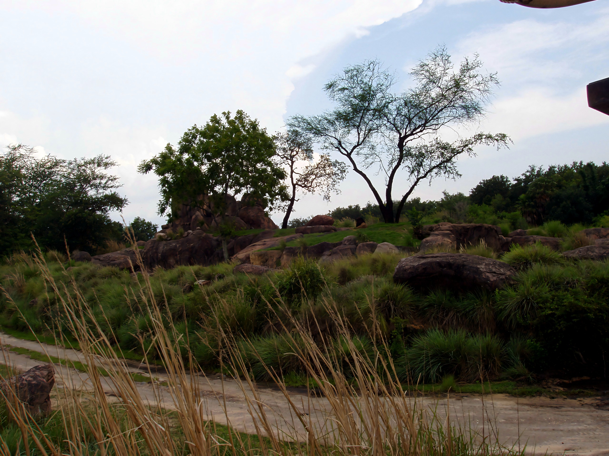 Rocky landscape and trail, safari area scenery, Disney's Animal Kingdom, June 2006