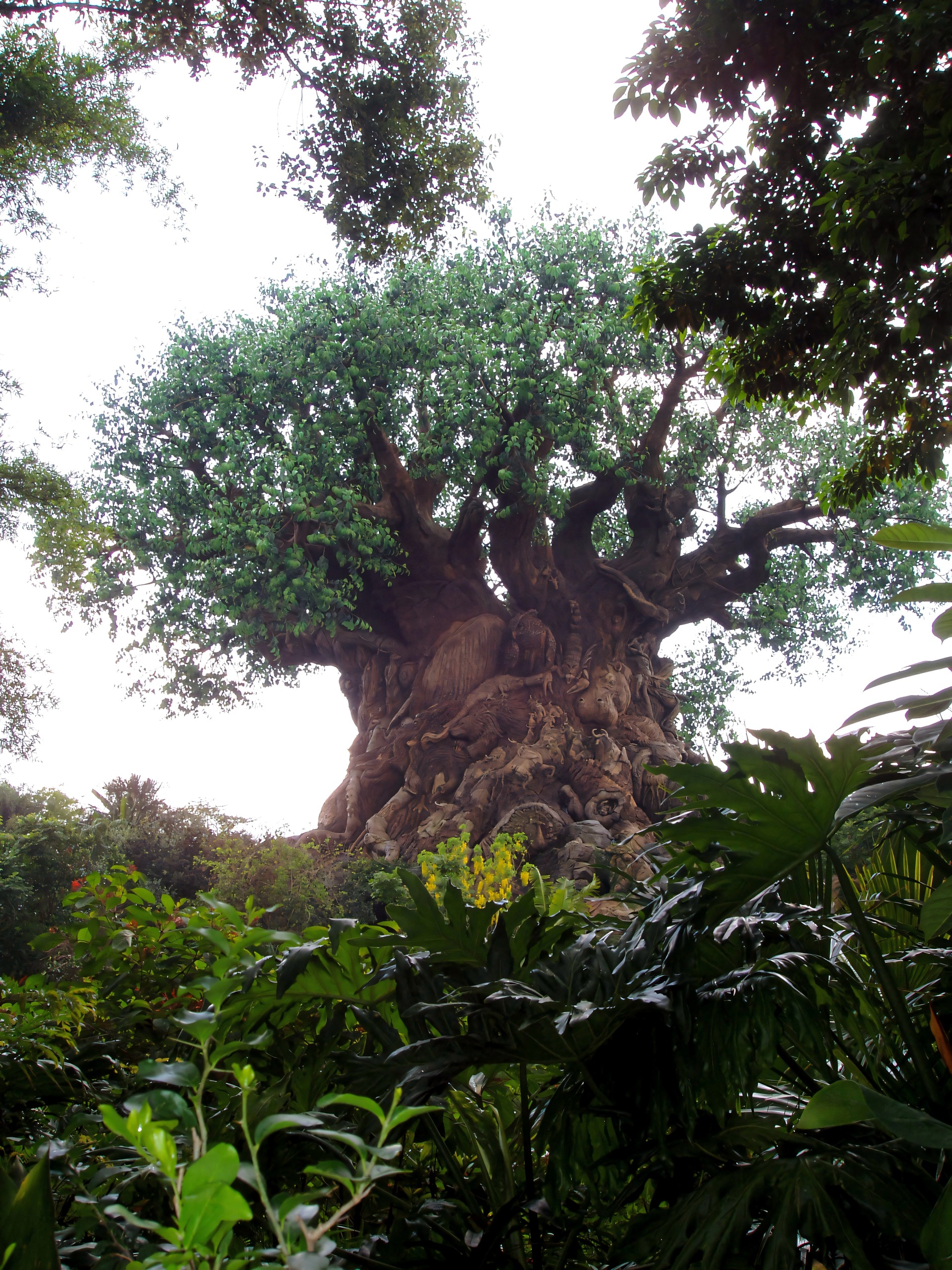 Tree of Life at Animal Kingdom, Disney's Animal Kingdom, June 2006