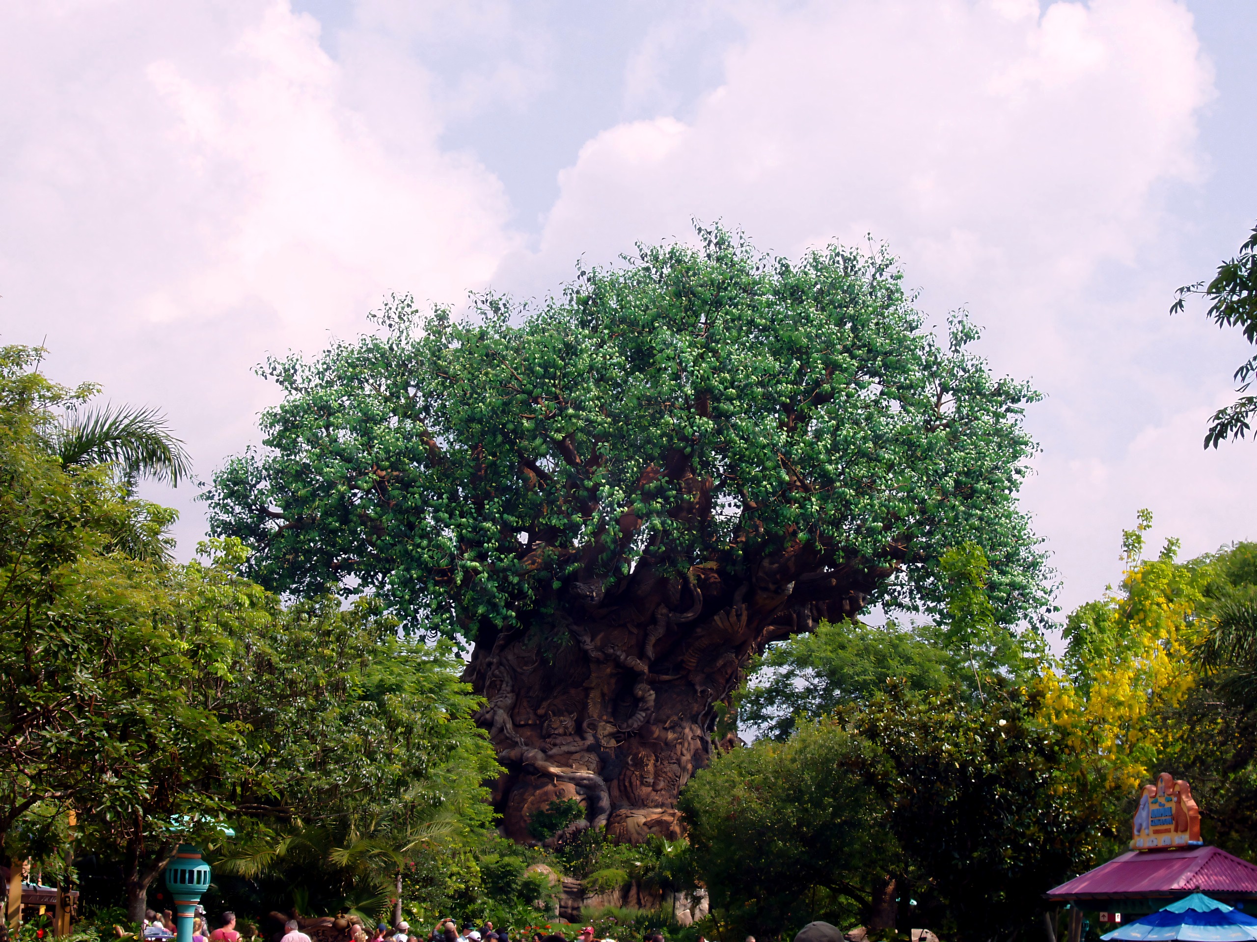 Tree of Life at Animal Kingdom, Discovery Island, Disney's Animal Kingdom, June 2006