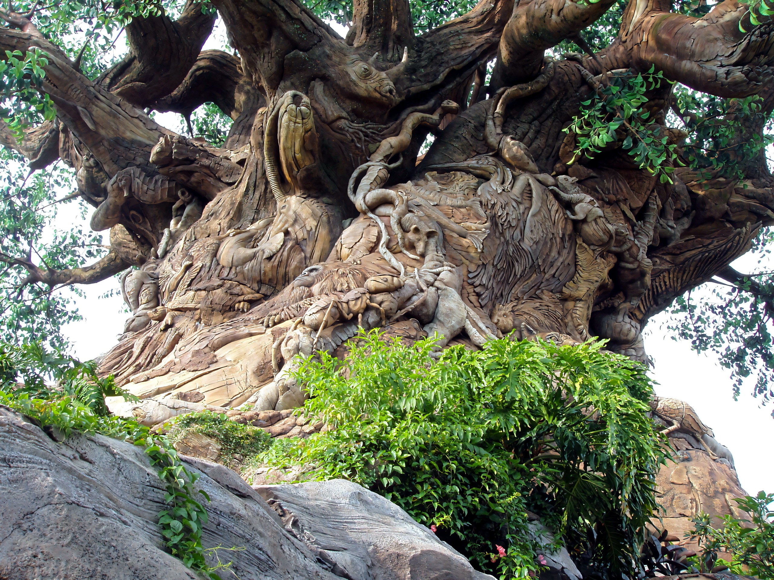 Tree of Life carved animal detail, low angle, Disney's Animal Kingdom, June 2006