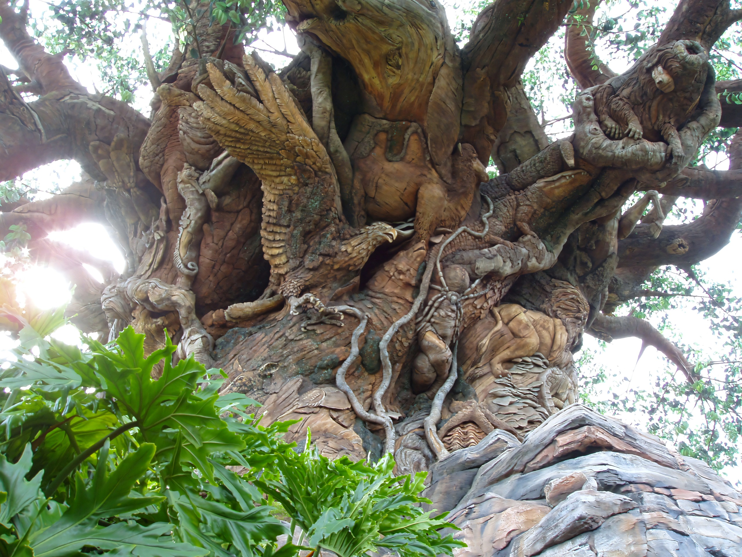 Tree of Life carvings with sun glare through leaves, Disney's Animal Kingdom, June 2006