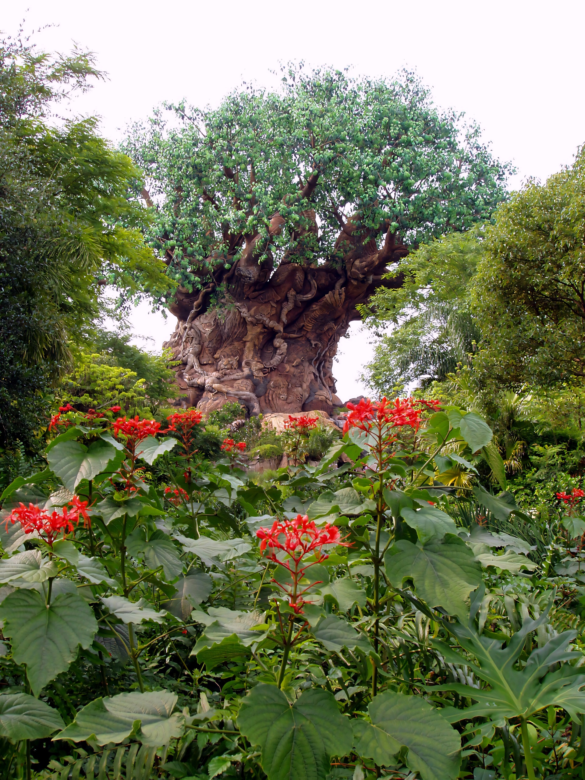 Tree of Life distant view, heavy black borders, Disney's Animal Kingdom, June 2006