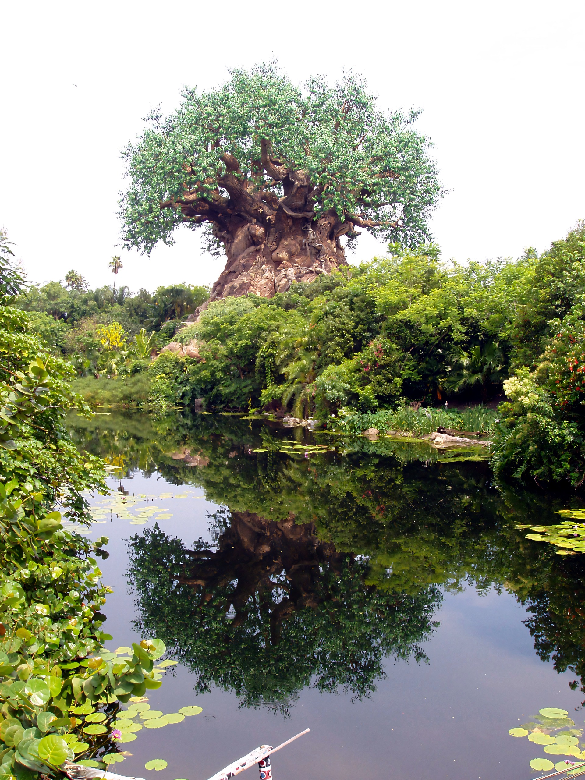 Tree of Life reflected in lake, Disney's Animal Kingdom, June 2006